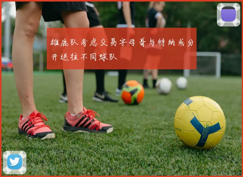 雄鹿队考虑交易字母哥与特纳或分开送往不同球队